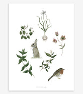 WELLINGTON - Affiche enfant - Lapin, rouge-gorge et herbes